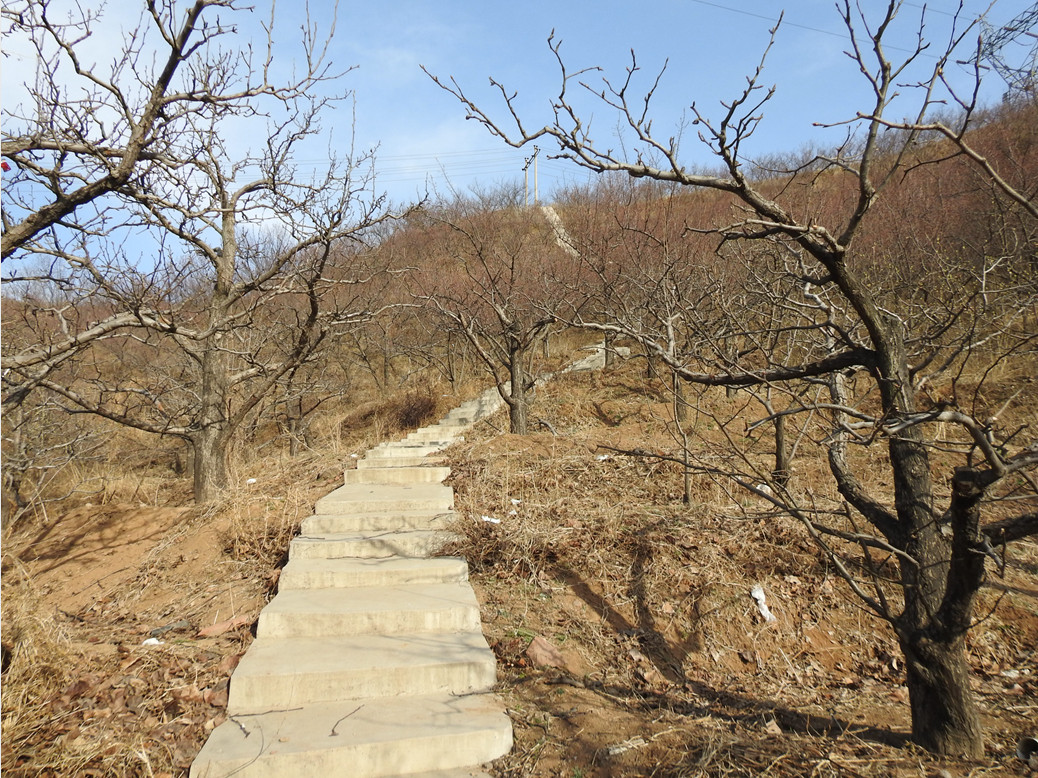 承德市雙橋區(qū)水泉溝鎮(zhèn)水泉溝村30畝荒山對(duì)外出租